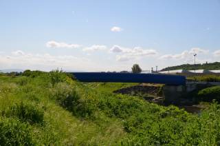 Vista del ponte Attigliano dall\' argine sinistro dell\'Ombrone