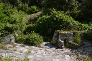 Particolare della cassa di laminazione del fiume Bardena a Figline
