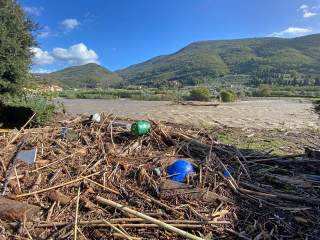 Cumulo di rami ed altri detriti sulla riva del Bisenzio