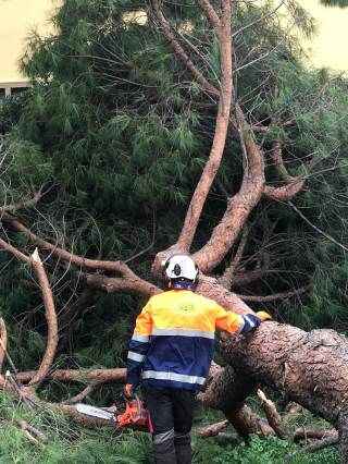 Operatore della VAB che interviene con la motosega per tagliare l\'albero caduto