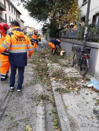 Operatori a lavoro per togliere un albero caduto nei pressi di una abitazione