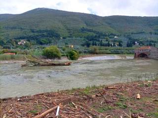 Fiume Bisenzio ingrossato vicino al Cavalciotto. Si possono anche notare vari rami e arbusti trascinati dal fiume.